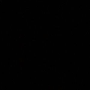 Meet your Posher, Moncerrat